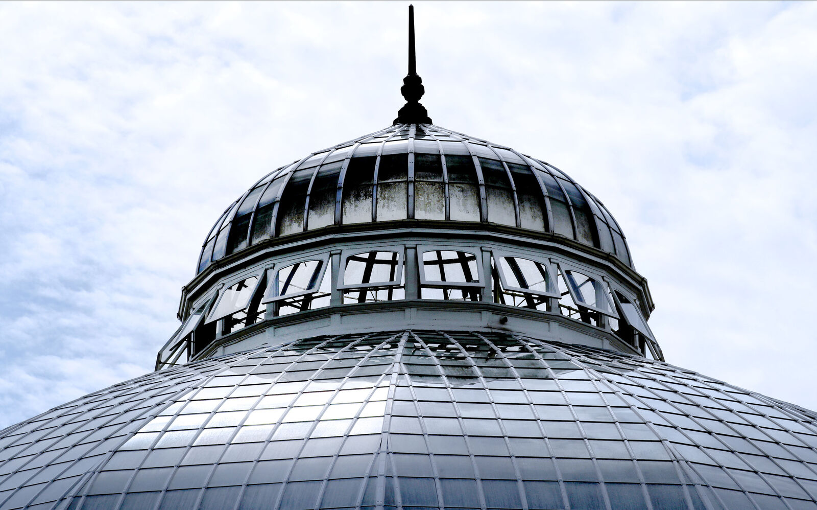 The palm dome